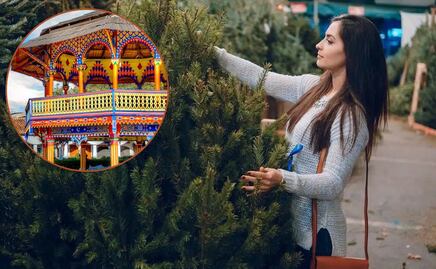 Corta tu propio árbol de Navidad en el Pueblo Mágico de Chignahuapan, lugares y costos
