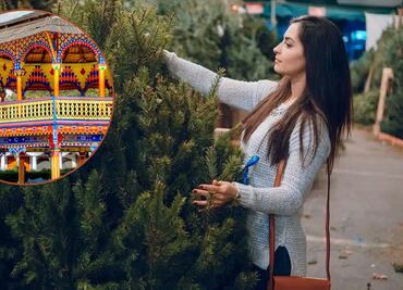 Corta tu propio árbol de Navidad en el Pueblo Mágico de Chignahuapan, lugares y costos