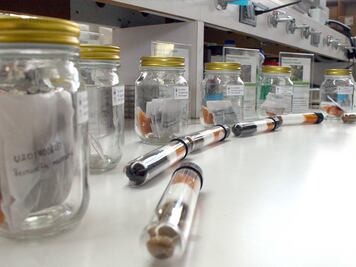  Contribuye BUAP a la investigación y conservación de especies, con el Herbario y Jardín Botánico