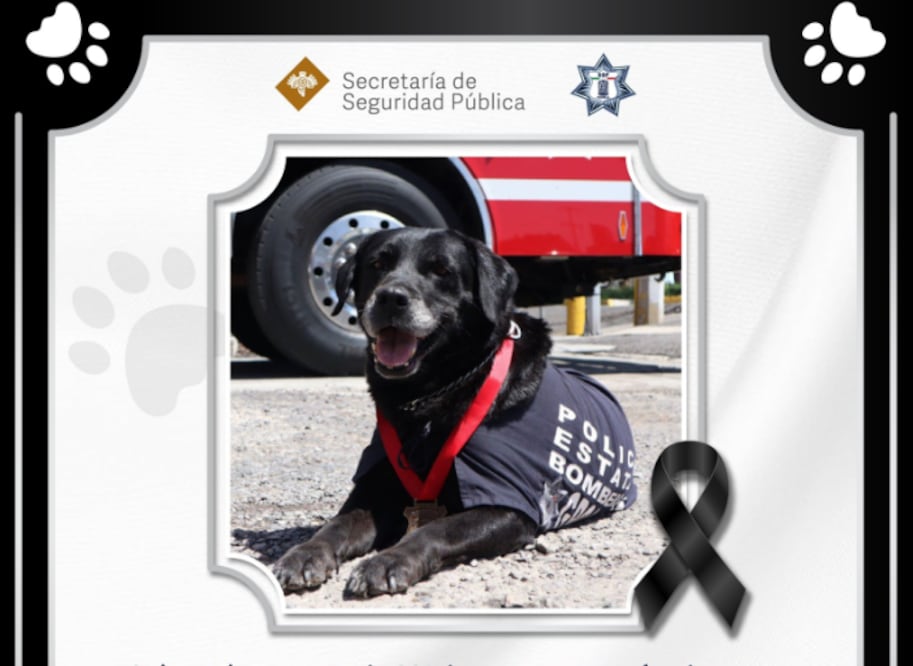 Sus restos descansan en paz en la Estación Central de Bomberos, donde seguirá siendo recordada por su invaluable servicio.

Foto: Producción El Universal Puebla