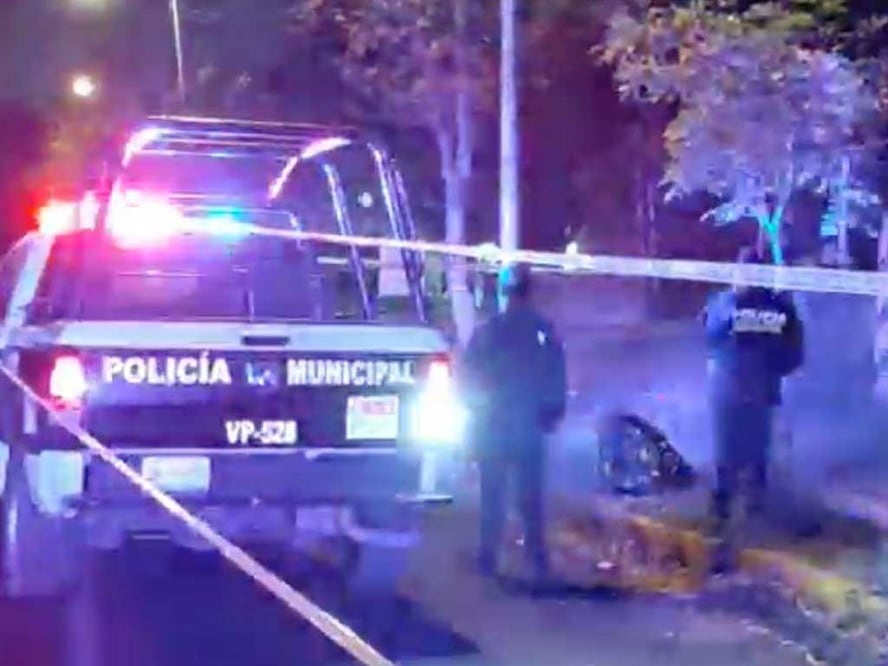 Foto: Captura de Pantalla