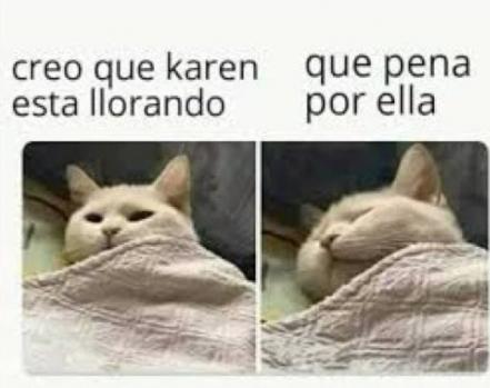 Día Mundial del Gato 2022. No le busques tres memes al gato, sabiendo que tiene cuatro