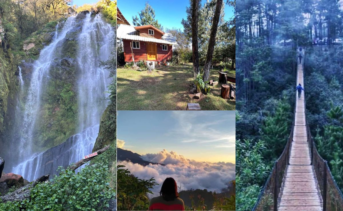 Foto: Canva    I     Honey tiene cascadas, cabañas, tirolesas y puentes colgantes