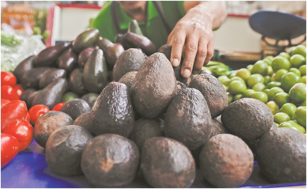 Suben precios de alimentos; aguacate alcanza casi los 80 pesos por kilo: Profeco