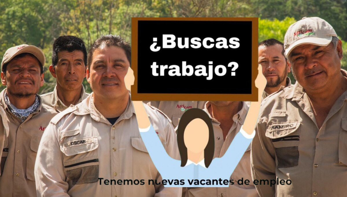 Africam Safari ofrece 8 vacantes de empleo para hombres o mujeres I Foto: Especial