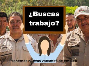 Africam Safari solicita personal, estas son las vacantes