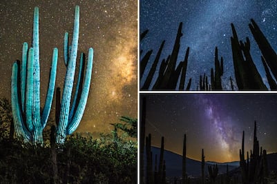 Enamórate de las noches estrelladas en esta reserva mágica entre Puebla y Oaxaca
