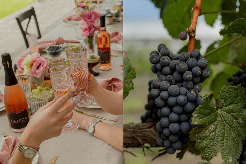 En un viñedo de Puebla hay un gran vino | Foto: Facebook Viñedo Santo Domingo