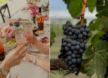 Este es el Pueblo Mágico donde puedes disfrutar de un buen vino