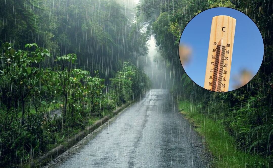 El pronóstico del clima para el fin de semana se puede saber en Meteored | Foto: Freepik