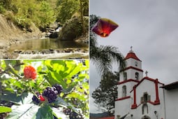 Conoce el Pueblo Mágico más pequeño de Puebla: tiene mar de nubes y café
