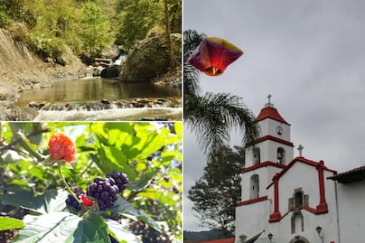 Conoce el Pueblo Mágico más pequeño de Puebla: tiene mar de nubes y café
