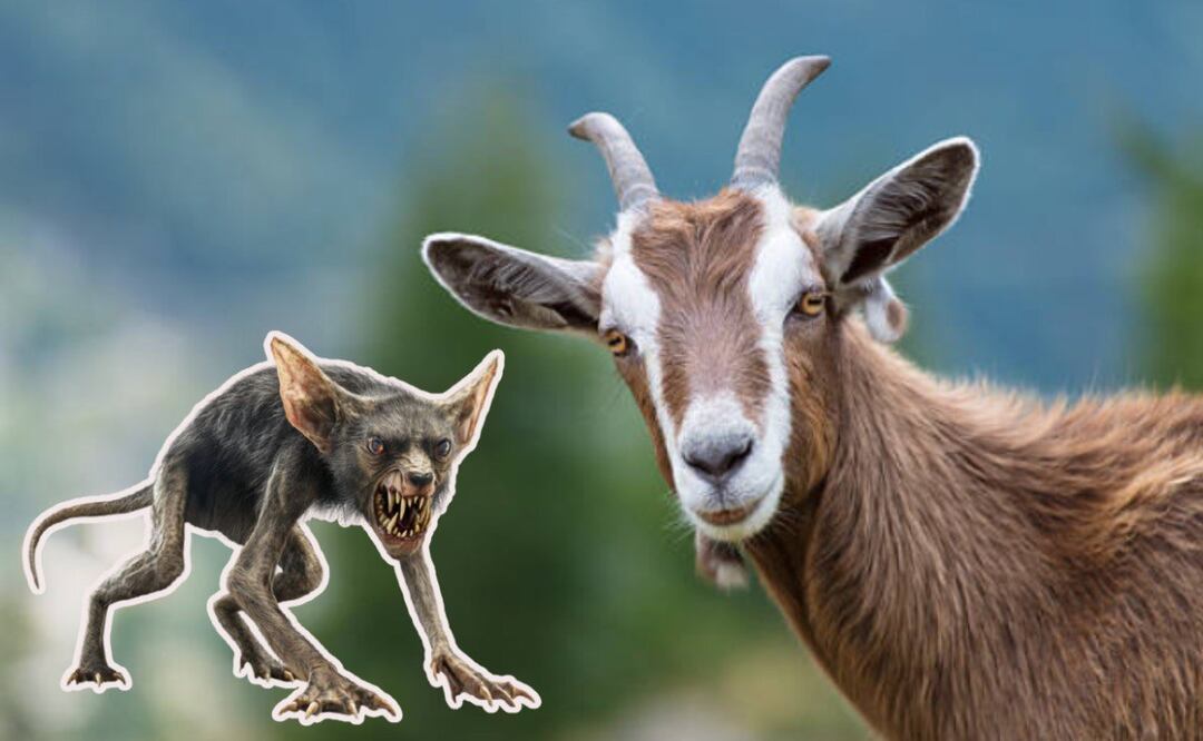 Un supuesto chupacabras fue captado en video | Foto: Vecteezy/iStock