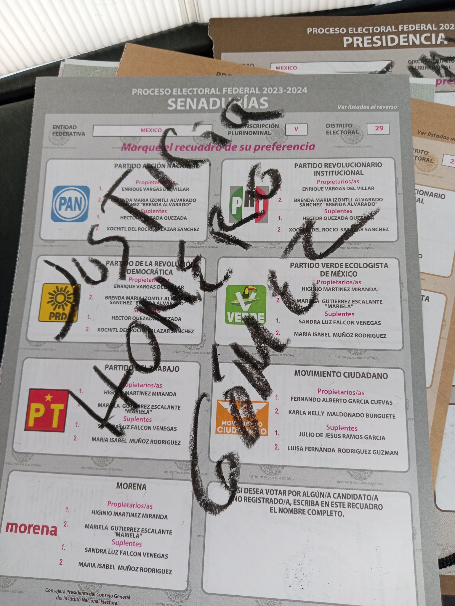 Las elecciones del 2024 fueron el pretexto perfecto para expresarse libremente| Foto: Canvas/ Redes Sociales