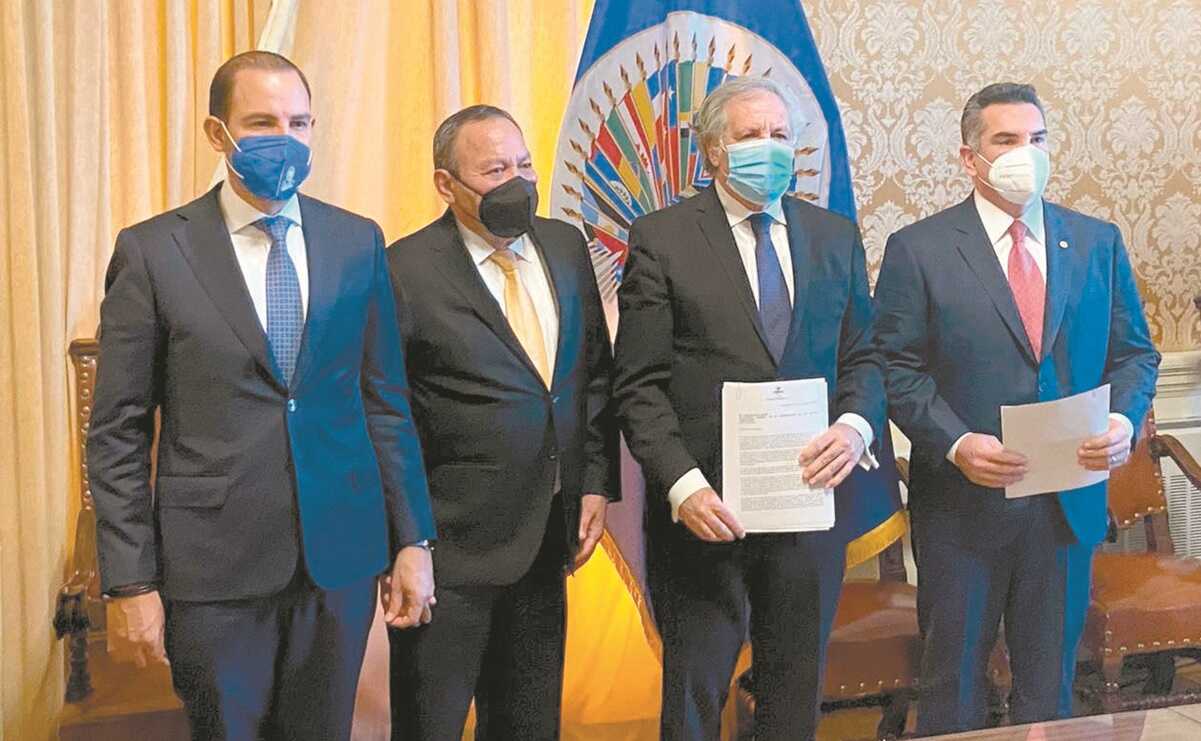 Partidos piden a OEA intervención ante el uso faccioso de la justicia