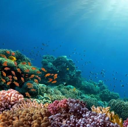 Todo lo que debes de saber para tu visita al Acuario Michin Puebla