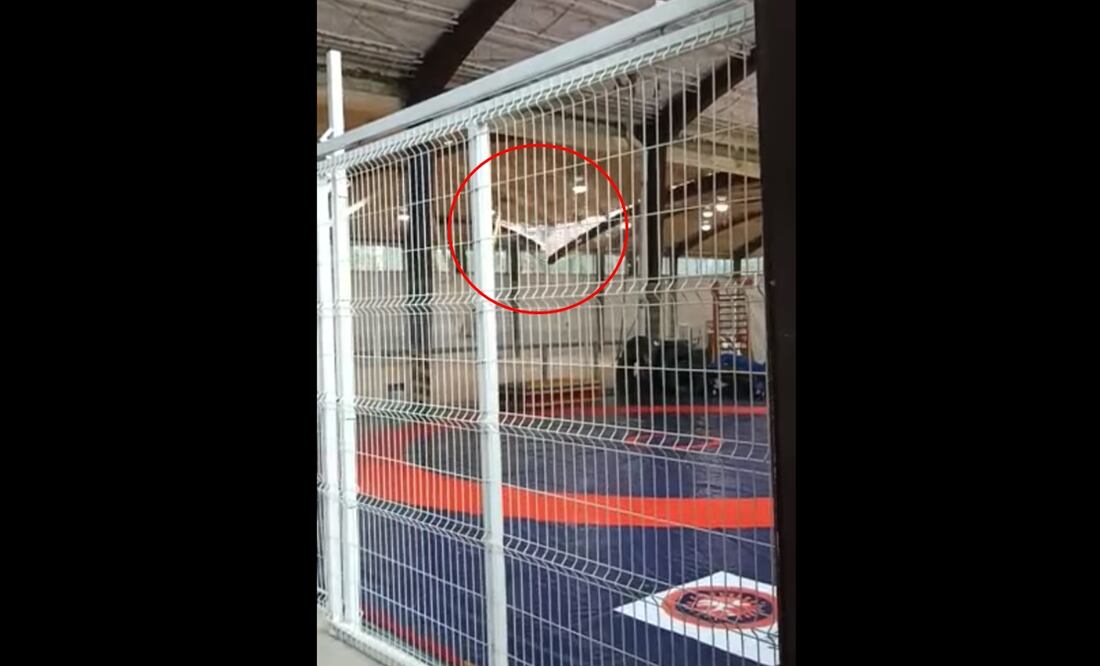 Video. "¡Se está cayendo esto!", captan desplome de domo en gimnasio del IPN en Zacatenco