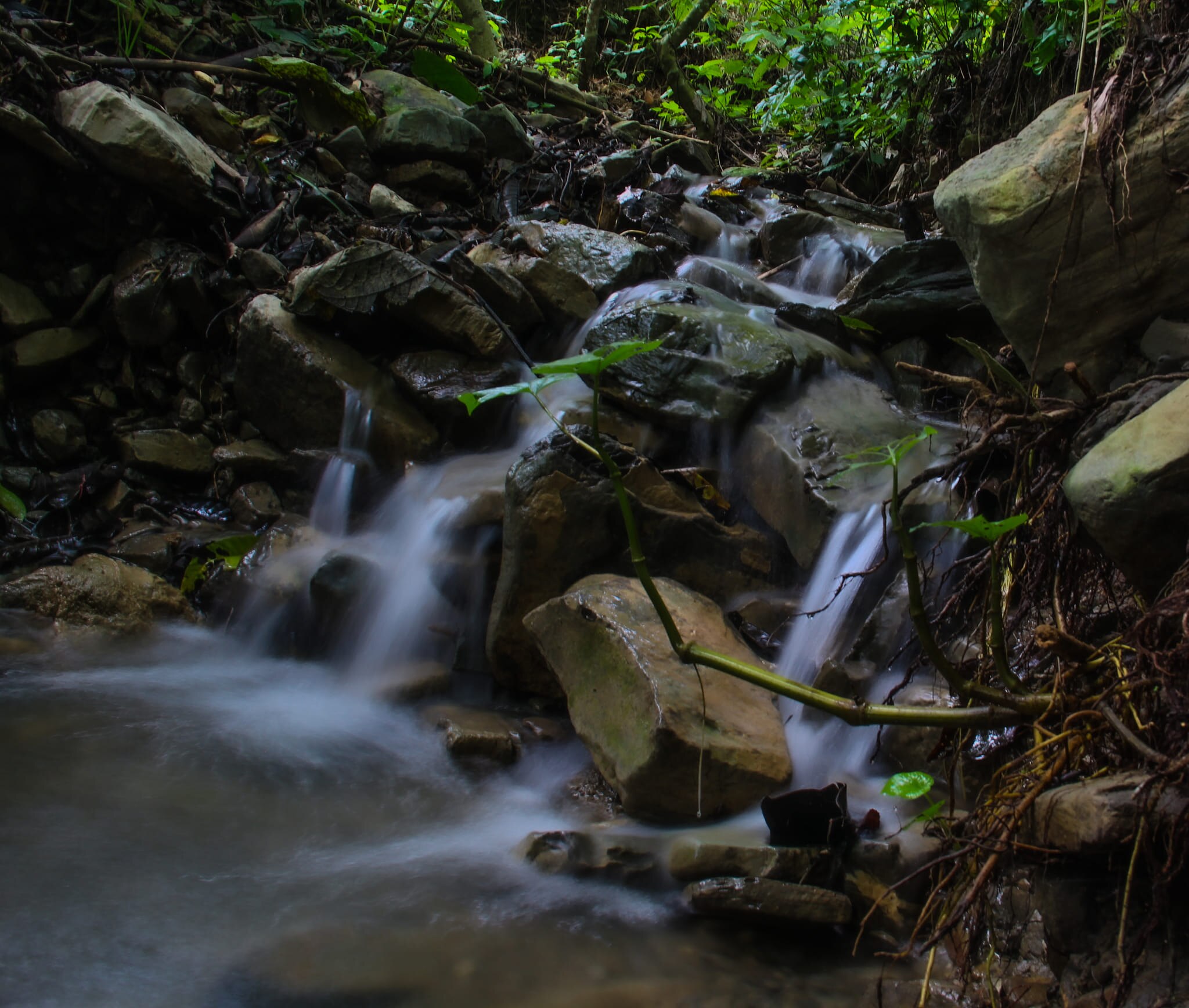 Este hermoso lugar se encuentra en la Sierra Norte de Puebla | Fotos Alfredo Romero/Chicontla Puebla