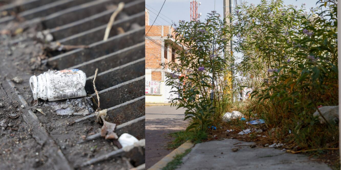 Basura y maleza en la vía pública / Foto EsImagen