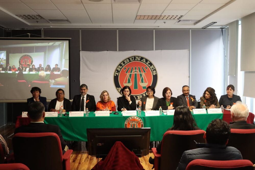 La magistrada presidenta de los Tribunales Agrarios, Maribel Concepción Méndez de Lara presentó primeros hallazgos de estudio | Especial