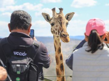 Estos son los mejores tours de CMDX a Puebla para conocer a Benito