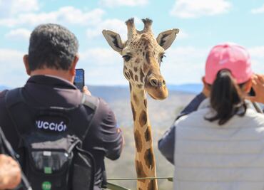 Estos son los mejores tours de CMDX a Puebla para conocer a Benito