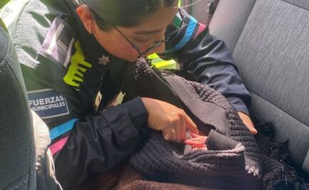 Bebé abandonada en ciudad de Puebla permanece hospitalizada en Atlixco