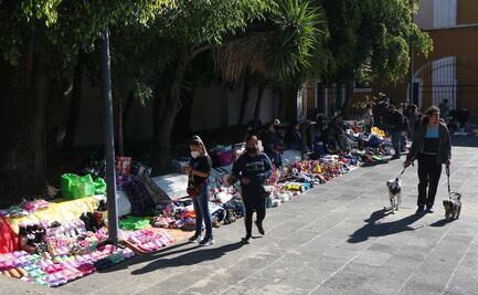 Se deben regular a “nenis” para evitar evasión de impuestos: Canaco