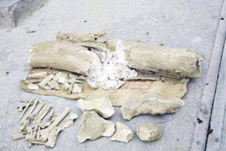 Conoce la ciudad de los mamuts y los dinosaurios en Puebla 