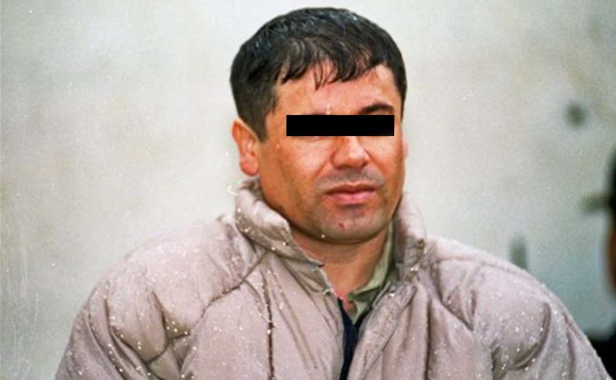 ¿Cuál es el perfil psicológico de los líderes del narcotráfico?