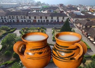 Este es el municipio poblano famoso por la producción de pulque