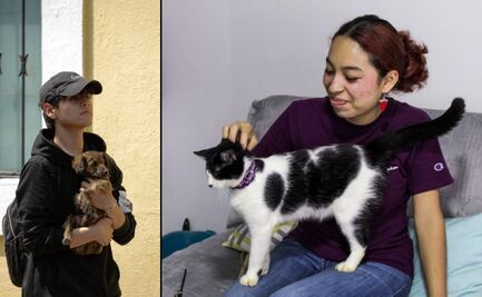 ¿Qué pasa si no registras a tu mascota en el Padrón Estatal de Perros y Gatos en Puebla?