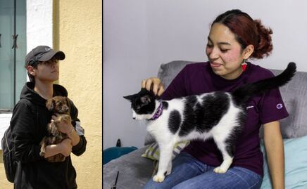 ¿Qué pasa si no registras a tu mascota en el Padrón Estatal de Perros y Gatos en Puebla?