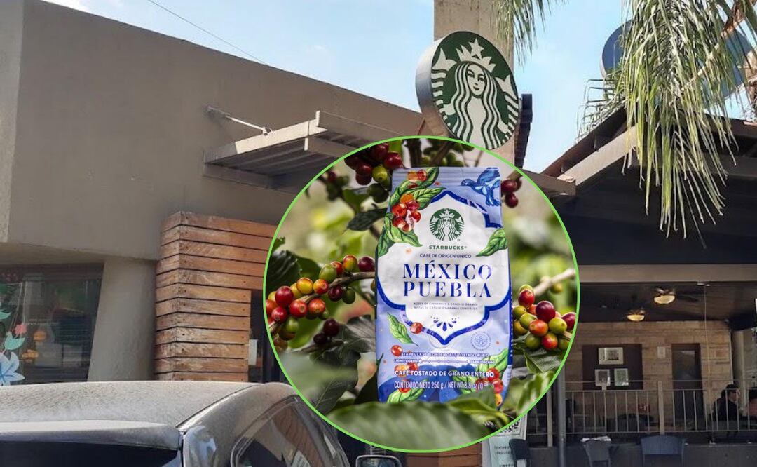 Se lanzó a la venta el primer café de origen poblano en Starbucks | Foto: Archivo/Starbucks