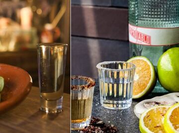 ¿Qué es mejor, tequila o mezcal? Aquí te decimos la respuesta