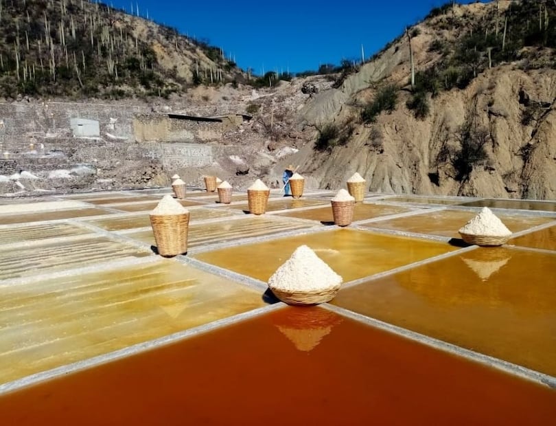 Zapotitlán Salinas | Foto: Juan Diego Hernández Cortés
