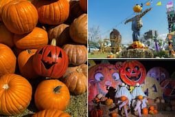 Pumpkin Zone 2026 tendrá casa del terror, feria y cine al aire libre en Puebla