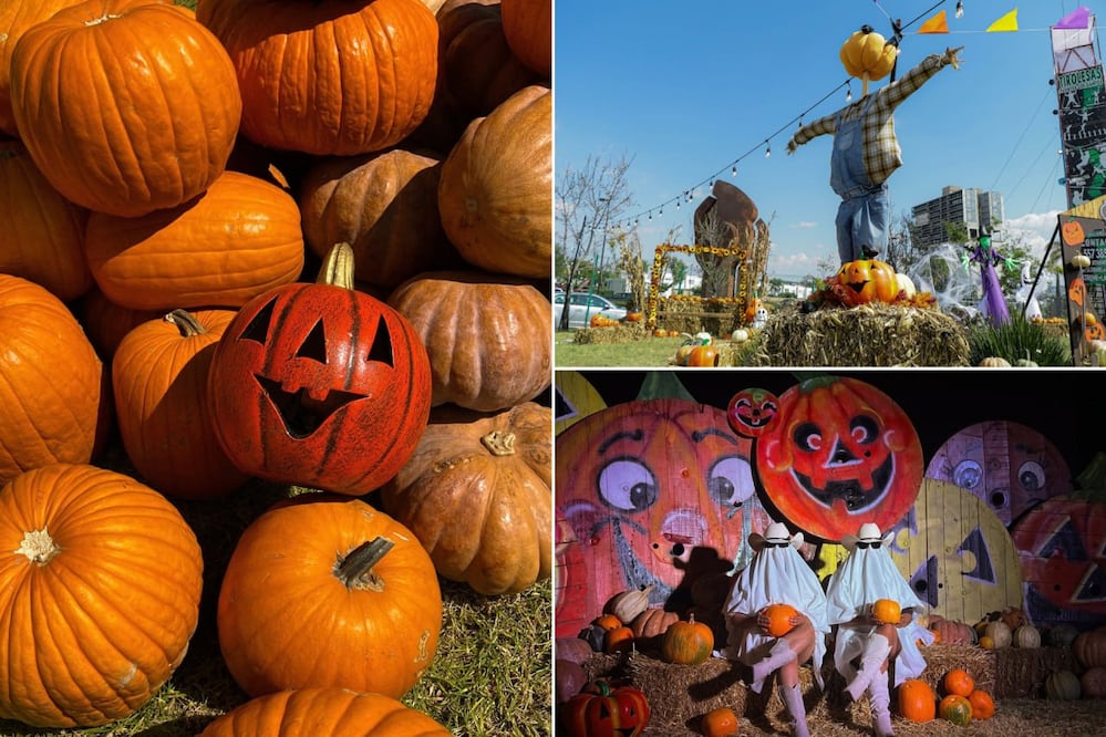 Pumpkin Zone 2026 es el lugar ideal para celebrar Halloween | Foto: IG pumpkinzonemx / EsImagen