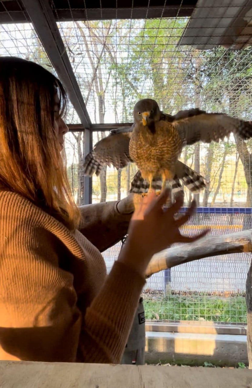 Foto: Zoológico del Altiplano de Tlaxcala