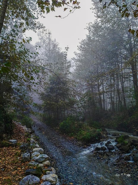 Foto: Facebook Tres Veces Heroica Tetela de Ocampo