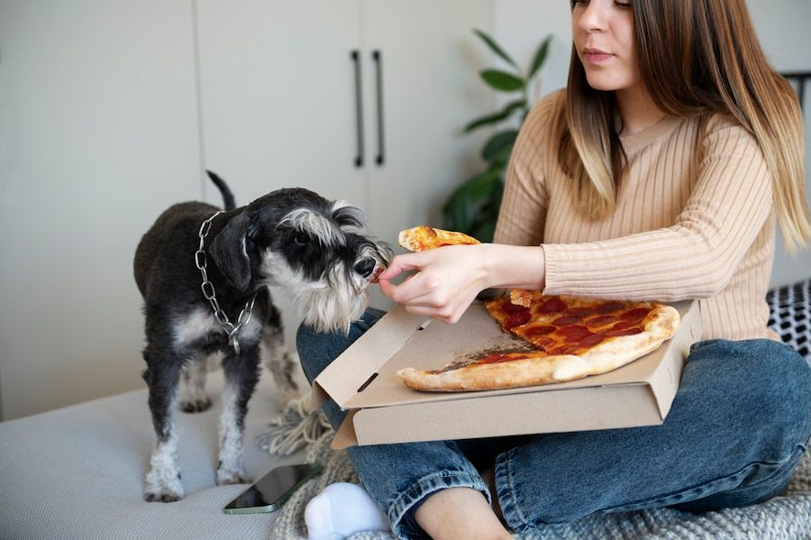 Cuidado si le das de comer esto a tu perro porque podrías matarlo. Fuente: Freepik.