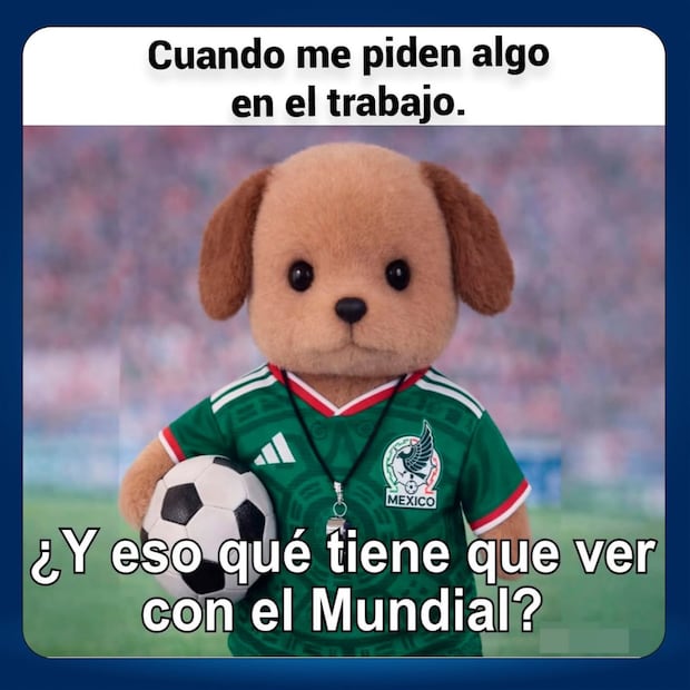 No molestar durante el Mundial