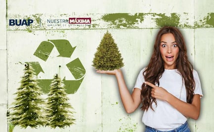 BUAP colecta árboles de Navidad para elaboración de composta