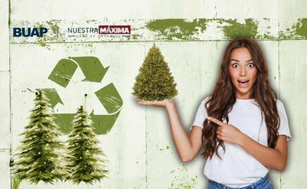 BUAP colecta árboles de Navidad para elaboración de composta