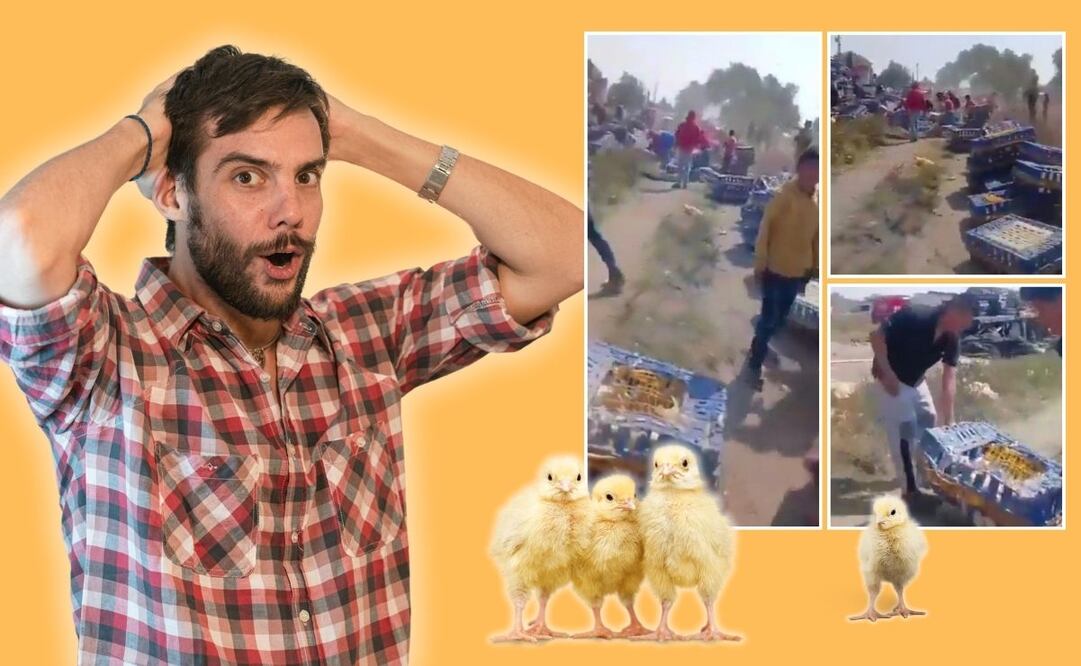 La rapiña ocurrió pese a que el chofer estaba muerto dentro del tráiler | Foto: Canva / Video redes sociales