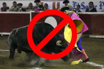 Feria de Puebla 2025: No habrá corridas de toros ni peleas de gallos