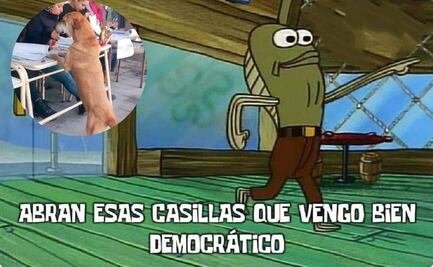 Checa los mejores memes de las Elecciones 2024