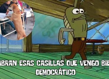 Checa los mejores memes de las Elecciones 2024