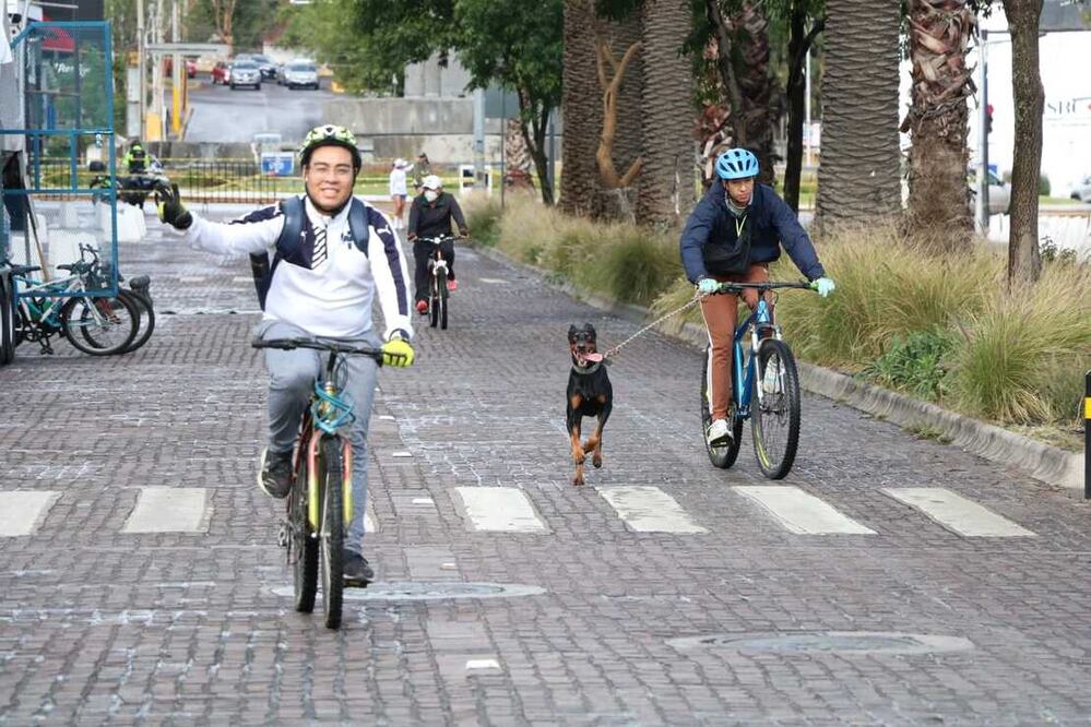 Del 20 de octubre a la fecha se han realizado 20 ediciones con la asistencia de 124 mil 737 usuarios | Fotos: Ayuntamiento de Puebla