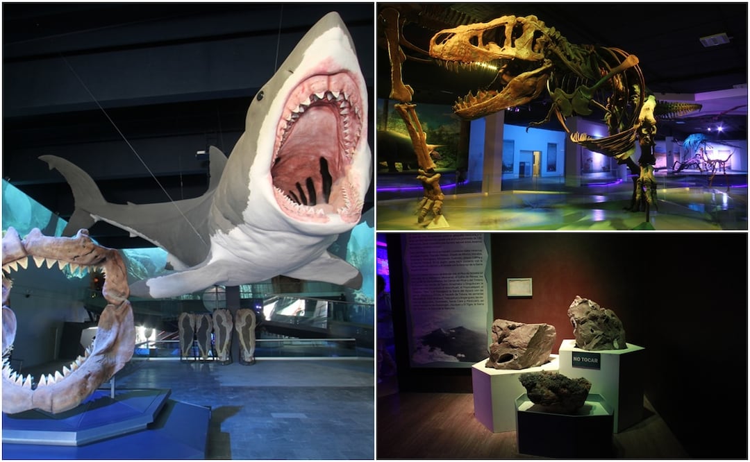 Durante el primer año de administración de Alejandro Armenta, el museo recibió a más de 183 mil visitantes | Foto: Gobierno del Estado